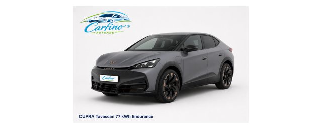 Tavascan 77 kWh Endurance